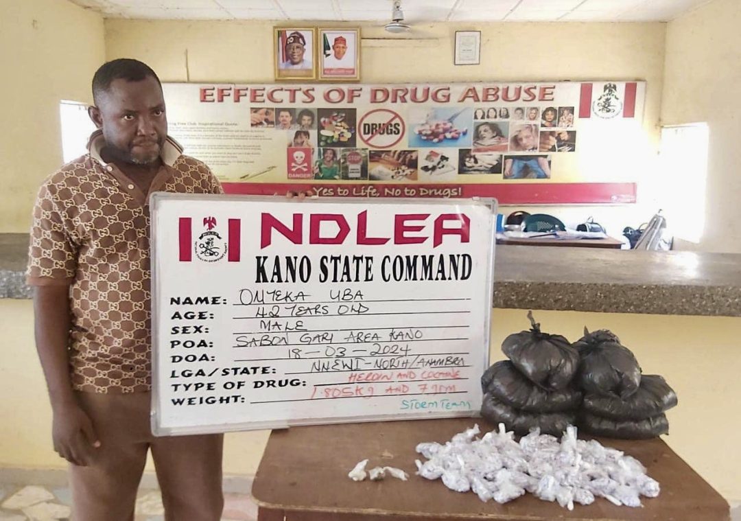 Massive Drug Raids Launched by NDLEA: 44,948 kg seized in Lagos, Edo, and Ondo; Cocaine and Heroin Syndicates Busted Nationwide