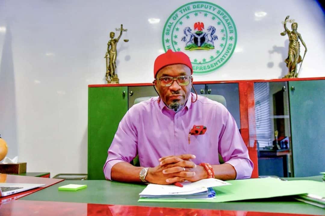 Exposing the Constitutional Quandary: NINAS Sends a Stern Warning to the National Assembly of Nigeria