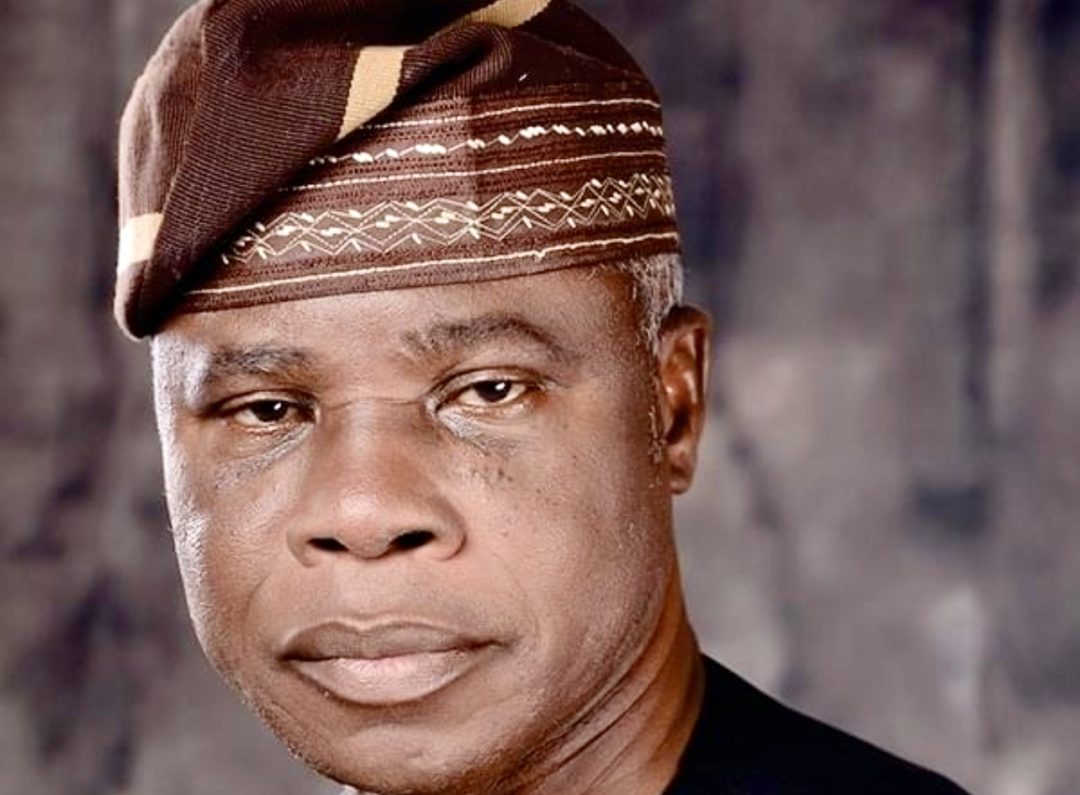 NINAS Slams Akin Fapohunda’s Draft Bill as Buffoonery: A Fraudulent Attempt to Back-Door a New Constitution