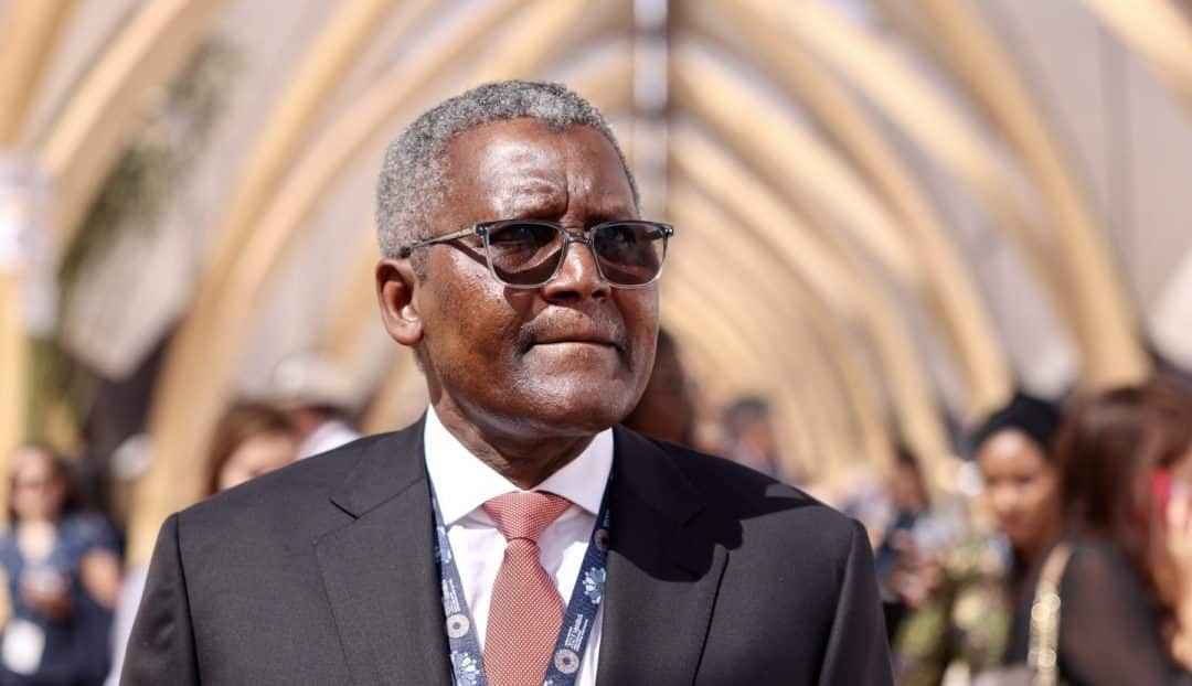 The Unstoppable Empire: Inside the Dangote Group’s Expansive Business Network