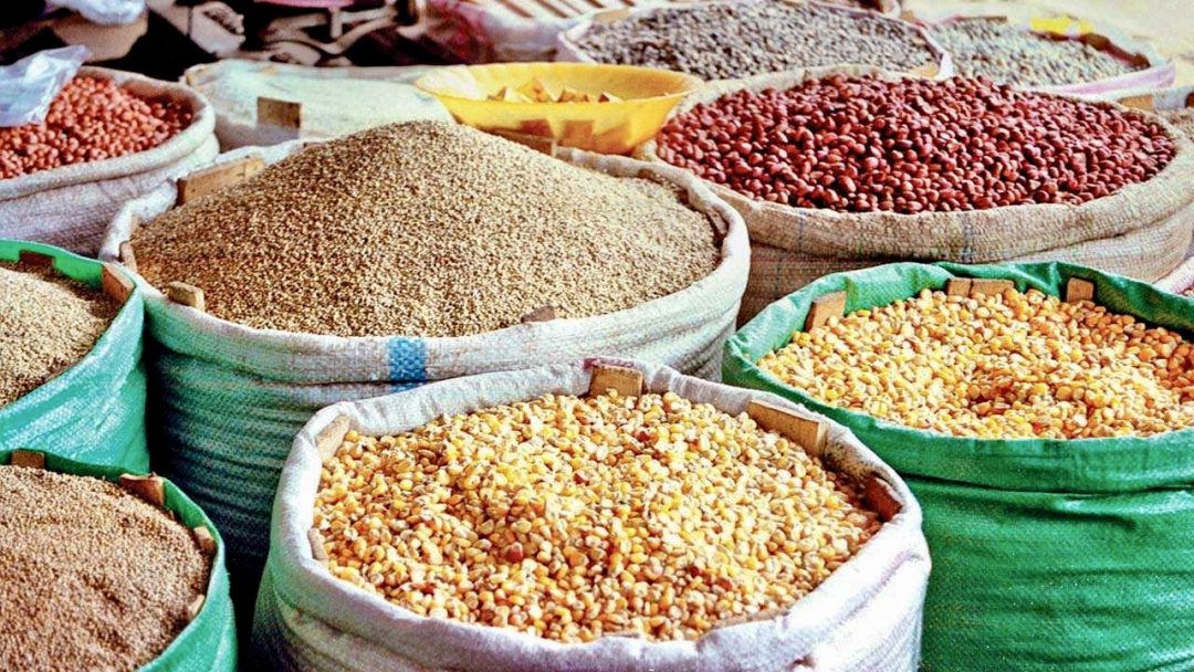 Food Import Duties Suspension and Tinubu’s Increasing Deception and Policy Somersault