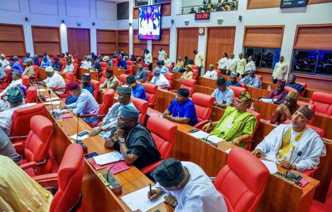 Why Are Northern Senators Divided Over Nigeria’s Tax Reform Bills?