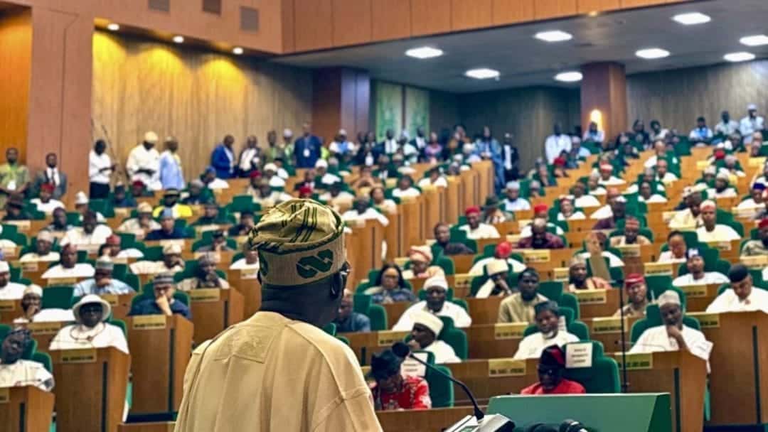 Nigeria’s 2025 Budget Sparks Debate: Bold Ambitions Amid Mounting Economic Challenges