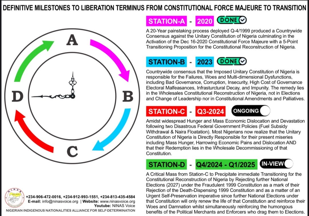With the Defeat and Delegitimisation of the 1999 Constitution, We Must Now Proceed to the Decommissioning of That Fraud via Immediate Transitioning — NINAS