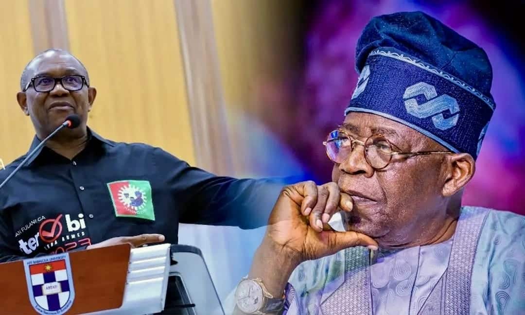 APC Slams Peter Obi’s Gloomy Rhetoric, Highlights Tinubu’s Bold Reforms Reviving Nigeria