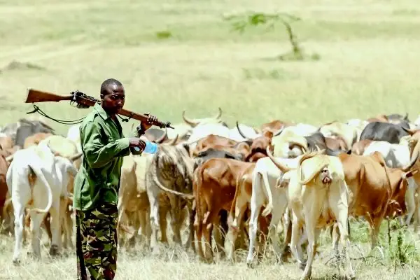 Herders’ Killing Spree: 30 Dead, Kidnappings Rock Nigeria!