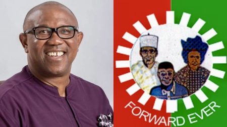 Peter Obi Declares 2027 Bid on Labour Party Ticket, Blames Government