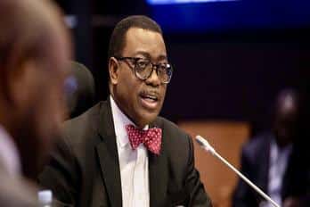 AfDB Warns: Nigeria’s Inflation to Soar to 24.7% in 2025