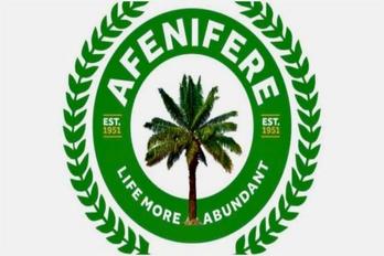 Afenifere Warns: New Constitution by 2027 or Nigeria Collapses
