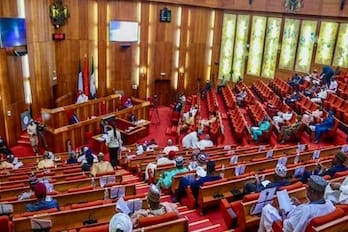 Equity Revolution: 85 Senators Ignite Historic Push for Anioma State Creation