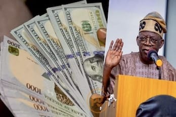 Naira Decouples from Oil: Tinubu’s Reforms at a Crossroads