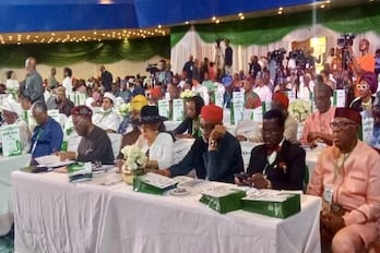 Inside the Firebrand Memorandum: NINAS’ Radical Blueprint to Dismantle Nigeria’s Unitary Core