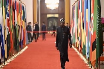 US & UAE Slap Nigeria with Single‑Entry Visas: Tinubu in Crisis