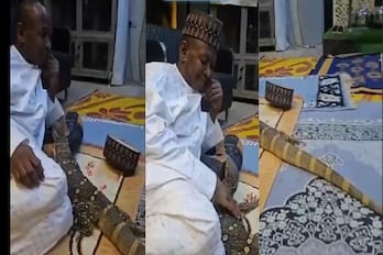 Kano Panic: Ex‑AGF’s Python Escape Spurs Zoo Evacuation