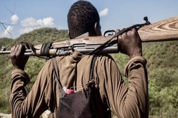 Herders’ Militiamen Slaughter 9 in Agatu – Security Failures Exposed
