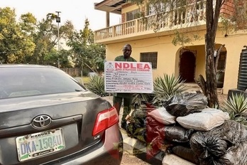 Army Seizes 108.8kg Cannabis in Kogi; Suspect Handed to NDLEA