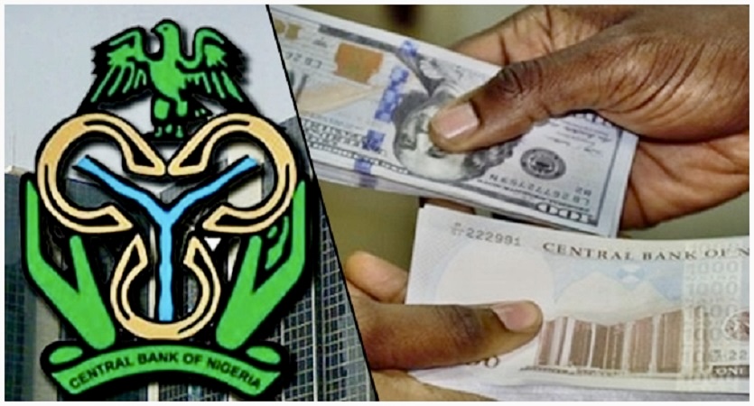 Surviving Volatility: A Playbook for SMEs in Crisis