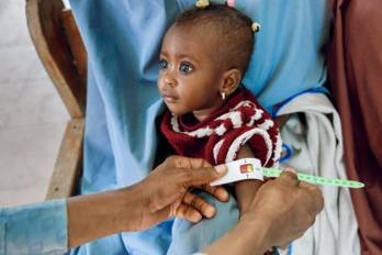 Nigeria’s Food Crisis Forecast: 2026–2027 Risk Map