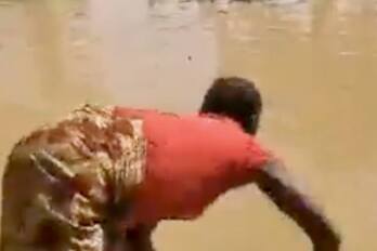 Sabon Pegi’s Pig Pond Shame Exposes Adamawa’s Water Failure