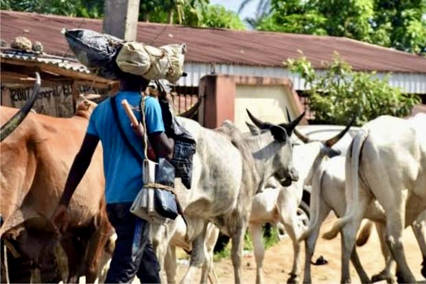 Benue Border Bloodbath: Seven Killed in Fresh Logo Attack