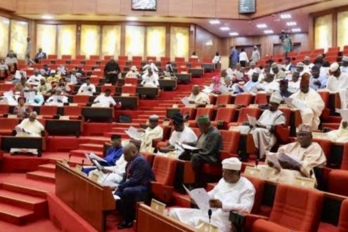 Bandits’ ₦100m Online Giveaway Exposes Nigeria’s Security Blind Spot