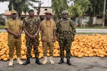 Nigerian Army intercepts illicit drug truck on Lagos-Calabar Road