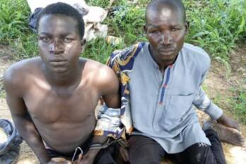 Borno Arrests Expose Foreign Links, ISWAP Supply Chain