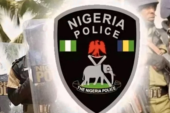 Bauchi Police Arrest Wanted Kidnap Suspect in Kirfi