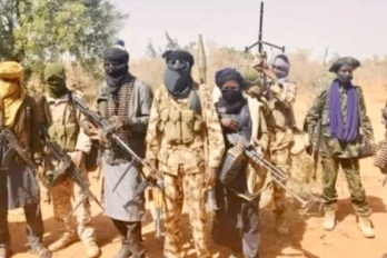 Sokoto Bandits: Women, Children Flee as 300 Cattle Rustled
