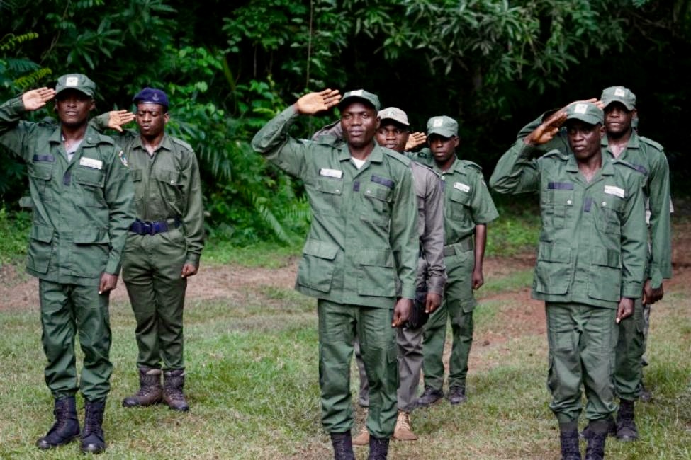 Forest Guards Abandon Posts Over Unpaid Salaries, Poor Arms