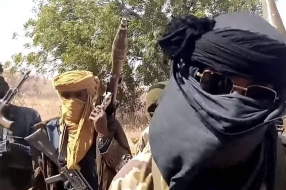 Bandits Abduct Sarkin Fulani, Son, Relative in Niger